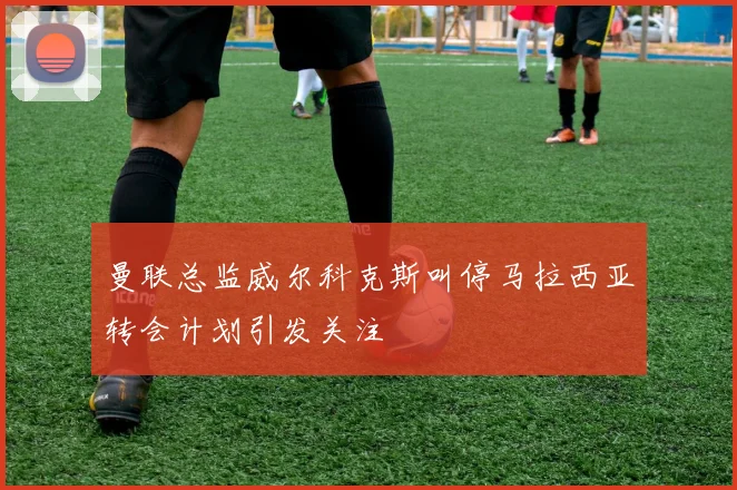 曼联总监威尔科克斯叫停马拉西亚转会计划引发关注